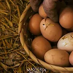 Masseria Nobile Relais * Fisciano