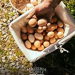 Masseria Nobile Relais