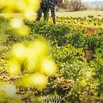 Masseria Nobile Relais *