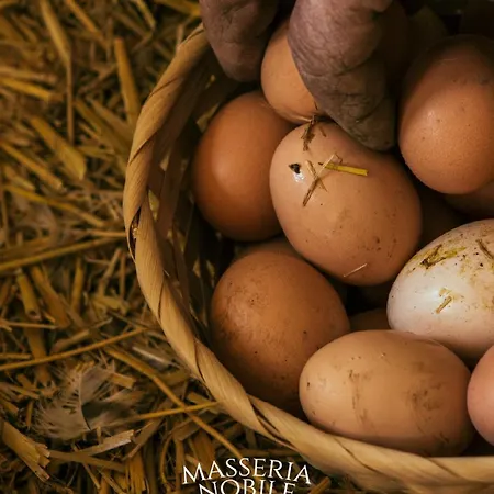 Masseria Nobile Relais * Fisciano