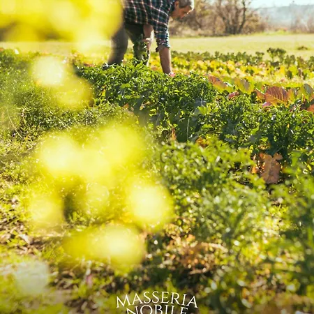Masseria Nobile Relais *